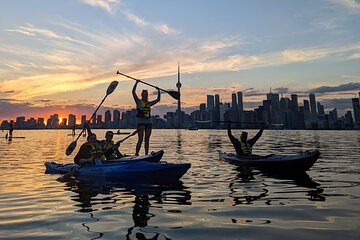 Sunset Safari: Evening SUP/Kayak Tour in Toronto