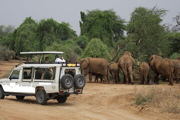 6 Days Samburu Sweetwaters, Lake Nakuru and Lake Naivasha Tour
