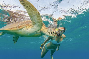 Abu Dabbab Semi Private Snorkeling Trip with Turtles Hurghada