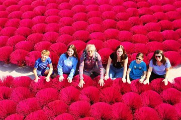 Incense Village to Ninh Binh Tam Coc Day Tour Small Group of 09