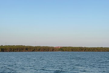 Can Gio Mangrove Forest & Authentic Thanh An Island Private Tour