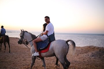 Hurghada: Two hours Horse riding on the desert and the sea 