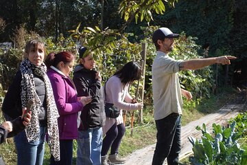 The Regenerative Farm and Sommelier Wine Tour