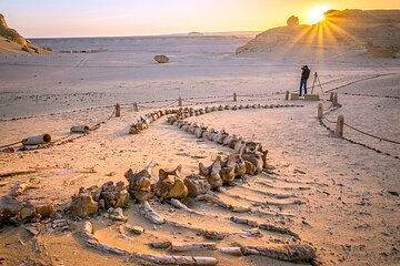 Day Tour to El Fayoum from Cairo