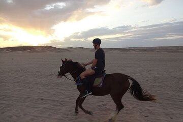 One Hour Horse or Camel Riding At Amazing Desert in Hurghada