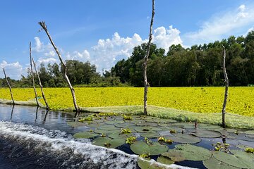 Discover Tan Lap Floating Village: A Tranquil Mekong Delta Escape