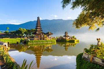 Full Day Tour to Water Temples UNESCO Rice Terraces in Bali