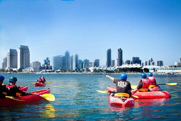 San Diego Bay 1.5-Hour Guided Kayak Tour in Coronado