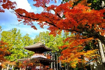 Mt Koya 1 Day Bus Tour from Osaka