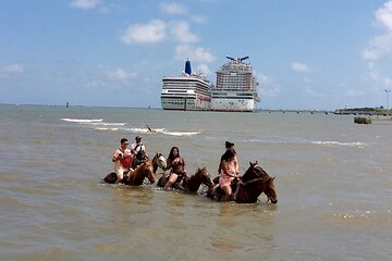 Horse Tours on the Beach and Mountains in Puerto Plata 