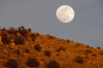 Self Guided Mt. Lemmon Scenic Byway Driving Tour