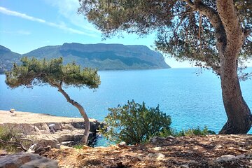 Mediterranean Dream : Cassis, Calanques Boat Ride & Appetizer
