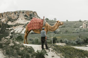 Camel Ride in Cappadocia 