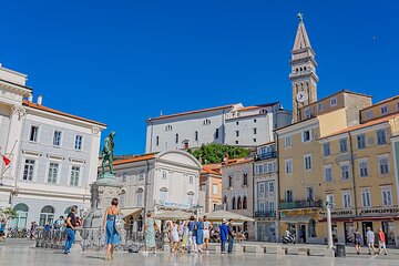 Postojna cave and Slovenian coast from Trieste - Private tour 