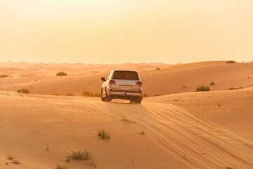 Morning Desert Safari with Dune Bashing And Camel Ride