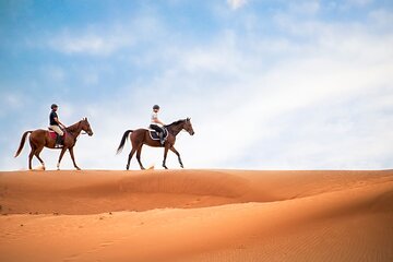 3 Hours Sunrise Horse Riding in Marsa Alam with Transfer