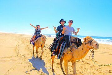 Camel Riding Desert and Beach with transfer in Marsa Alam