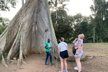 Day Trip Near Accra - Visit Aburi Gardens, Waterfall & Cocoa Farm