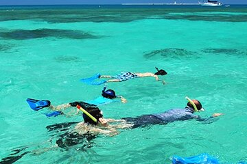 Snorkeling Water Private Activity In Montego Bay Jamaica