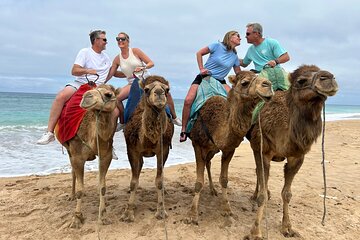 Tangier Authentic Private Day Tour & Camel Ride Experience 