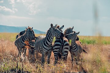 2- Day Wildlife Tour & Tanzanite Mining Discovery 