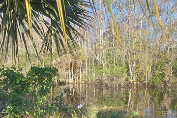 Everglades Eco Airboat Tour with Private Luxury Transportation