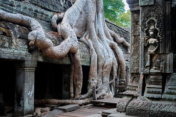 Full day exclusive tour for the main temples in Siem Reap