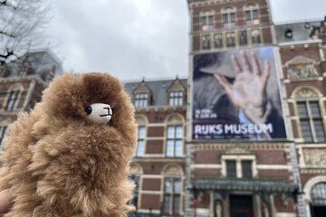 Rijksmuseum 3h Private Guided Tour & Entry Tickets