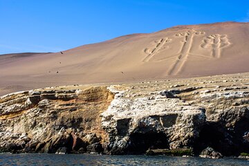 Ballestas Islands, Vineyards and Buggies in Huacachina from Ica