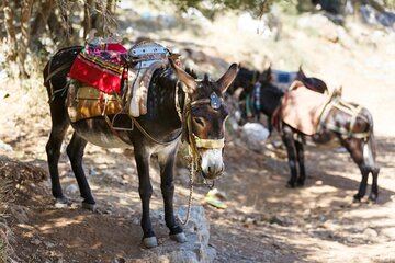 Private Rethymno Villages Historical Tour with Lunch and Wine