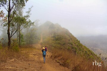 Hiking: From Serra Malagueta Natural Park to Vale de Gongon