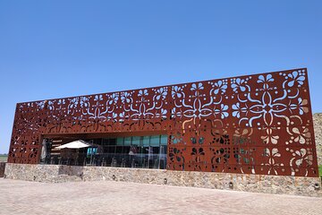 Private Tour of Wineries in San Miguel