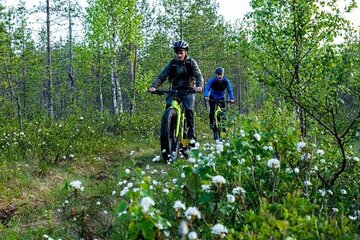 Electric Fat Biking Adventure in Banff | Small Group Adventure