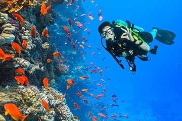 White Island & Ras Mohamed Boat Trip & Diving , lunch from Sharm