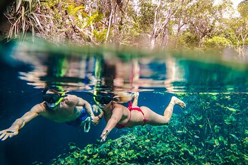 Tulum Ruins & Cenote Express (transportation included)