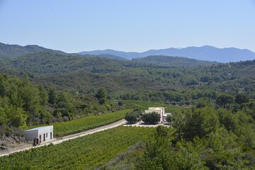 Cooking Class & Greek Wine Tasting