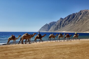 Canyon Salama & Dahab City Tour From Sharm El Sheikh 