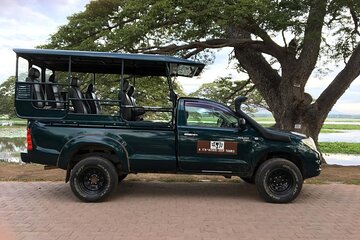 YALA National Park Safari with Transfer Hiriketiya to Arugam Bay 
