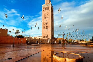 Discover Marrakech with a local guide