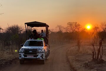 Baobab Safari in National Park, Victoria Falls