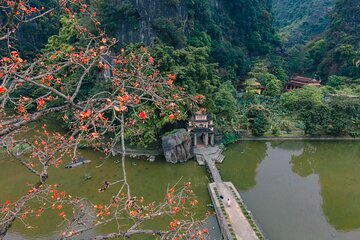 Ninh Binh Luxury Tour: Bich Dong, Local Farmer's House, Trang An