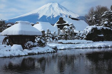 Mount Fuji and Oshino Hakkai Sightseeing Day Tour From Tokyo