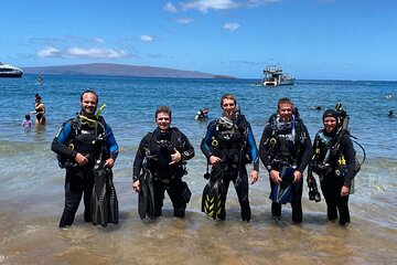 1-Hour Beach Diving Experience with transfer in Sharm El Sheikh