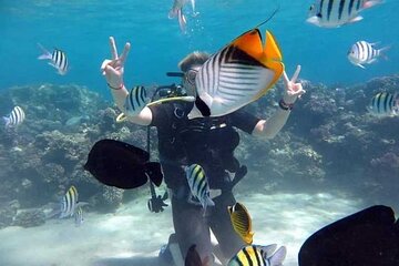 Beach Diving With Diving Equipment &Transfer in Sharm El Sheikh