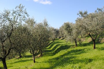 Jeep Safari Tour Cretan Hills, Hidden Caves and Olive oil & Raki