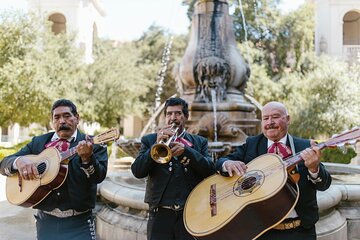 Cantina Tour Mexico City Savor Spirited Stories and Sips
