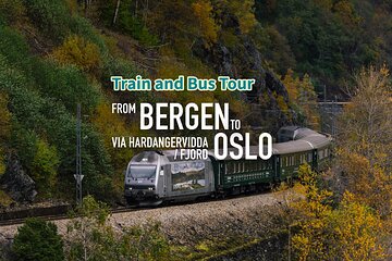 Train and Bus Tour from Bergen to Oslo via Hardangervidda/Fjord