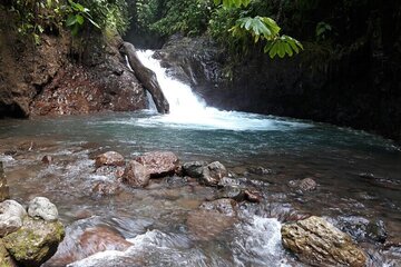 Rainmaker Hike and Hanging Bridges 