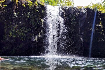 Halfway to Hana Tour of Maui Black Sand Beach Waterfalls Turtles