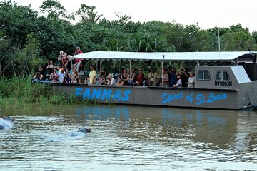 1/2 Day Safari Hippo & Croc in Isimangaliso W/Park from Durban 